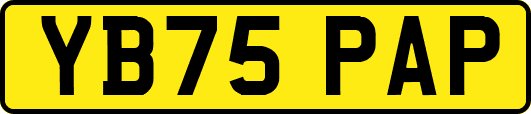 YB75PAP