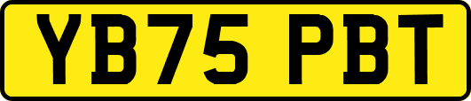 YB75PBT