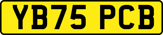 YB75PCB