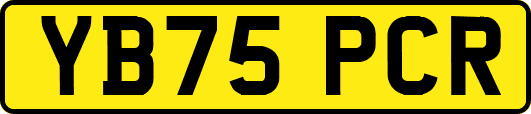 YB75PCR