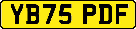 YB75PDF