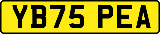 YB75PEA