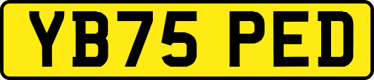 YB75PED