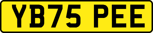YB75PEE