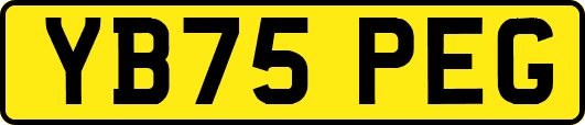 YB75PEG
