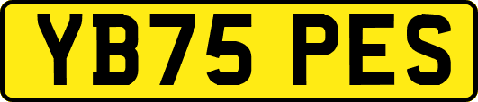 YB75PES