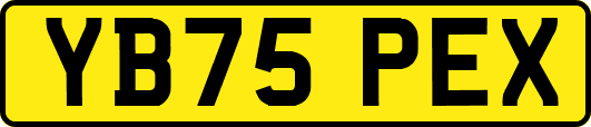 YB75PEX