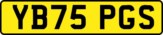 YB75PGS