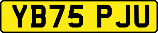 YB75PJU