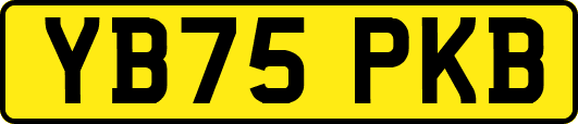 YB75PKB