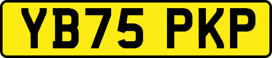 YB75PKP