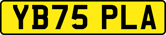 YB75PLA