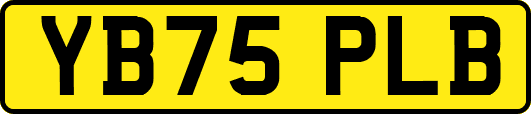 YB75PLB