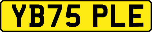 YB75PLE