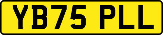 YB75PLL