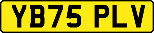 YB75PLV