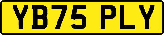 YB75PLY