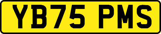 YB75PMS