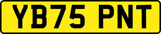 YB75PNT