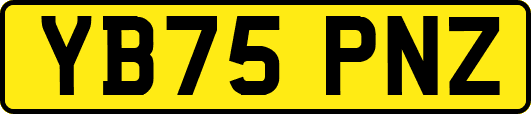 YB75PNZ