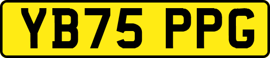 YB75PPG