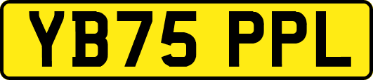 YB75PPL