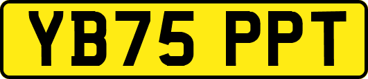 YB75PPT