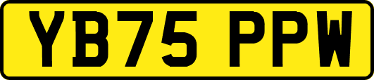 YB75PPW
