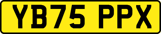 YB75PPX