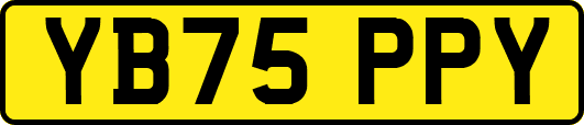 YB75PPY