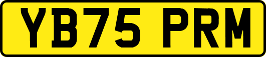 YB75PRM