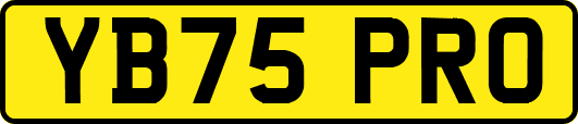 YB75PRO