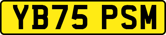 YB75PSM