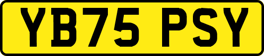 YB75PSY