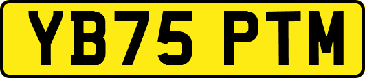 YB75PTM