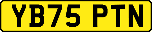 YB75PTN