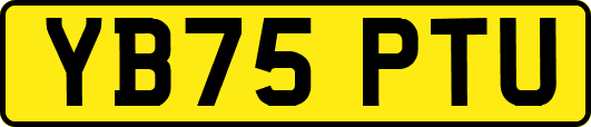 YB75PTU
