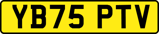 YB75PTV