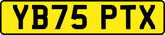 YB75PTX