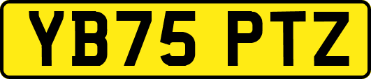 YB75PTZ