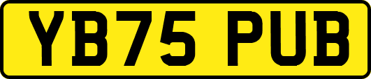 YB75PUB