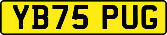 YB75PUG