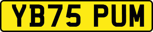 YB75PUM