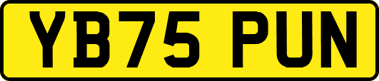 YB75PUN