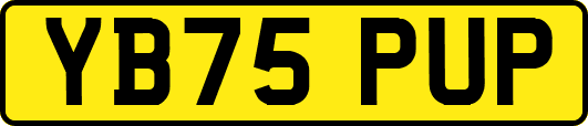 YB75PUP
