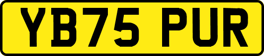 YB75PUR