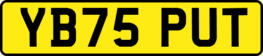 YB75PUT
