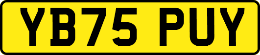 YB75PUY