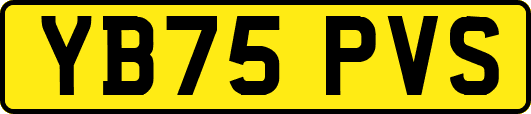 YB75PVS