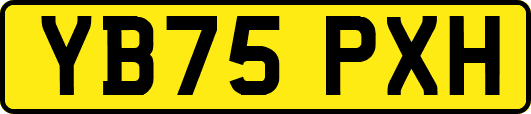 YB75PXH